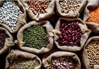 تولید ۱۴۰ تن حبوبات در اراضی کشاورزی نور