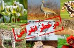 تخریب زیستگاهها عامل اصلی انقراض گونههای جانوری تخریب زیستگاهها عامل اصلی انقراض گونههای جانوری