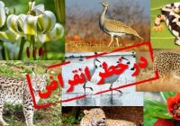 تخریب زیستگاه‌ها عامل اصلی انقراض گونه‌های جانوری