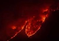 اختصاص دو بالگرد برای حفاظت از جنگل‌های مازندران