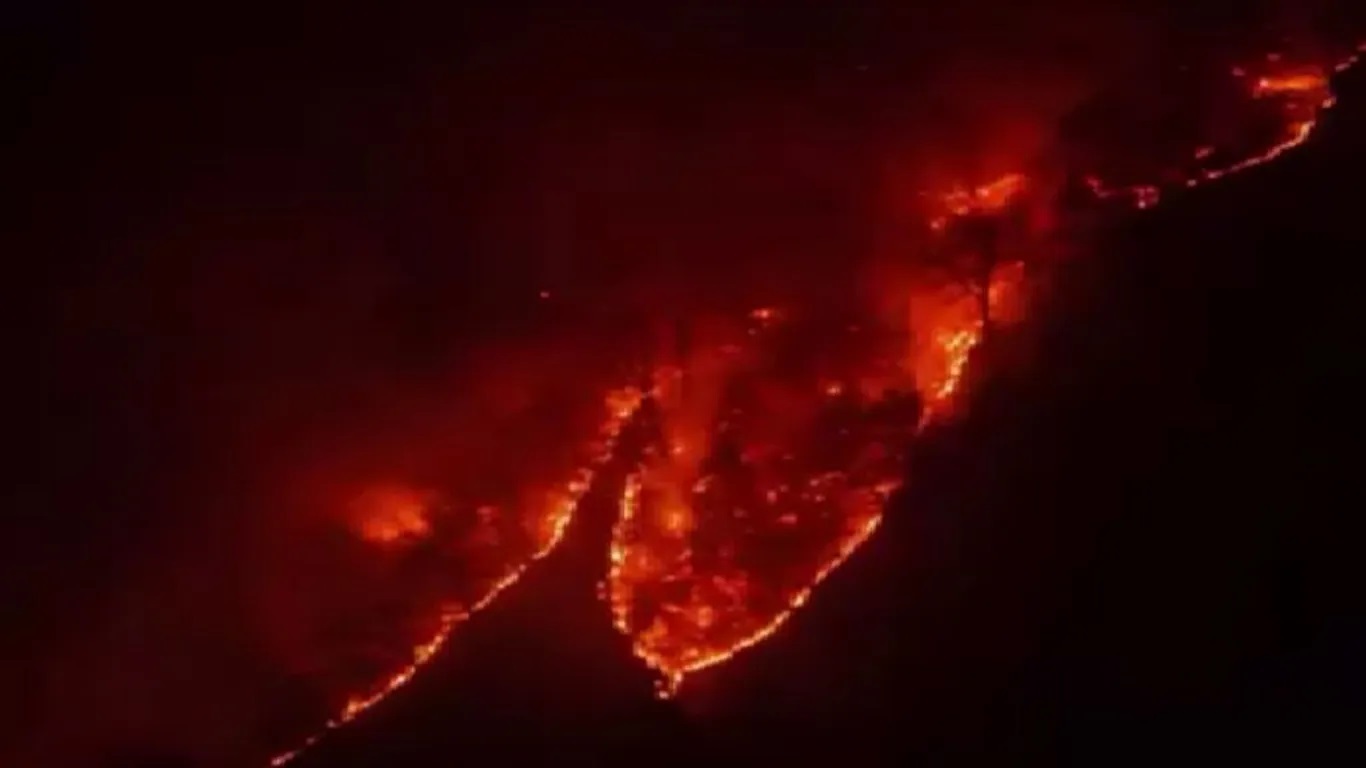 اختصاص دو بالگرد برای حفاظت از جنگلهای مازندران