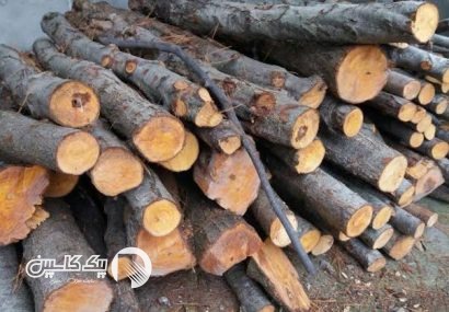 ناکام ماندن قاچاقچی چوب در بخش دشت سر آمل