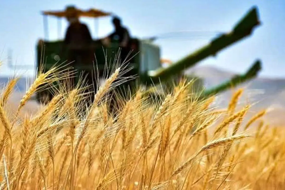 افزایش مراکز خرید تضمینی در روستاهای مازندران