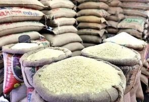 موافقت مشروط با واردات برنج