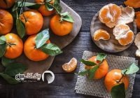 پیش‌بینی برداشت بیش از ۶۲ هزار تن نارنگی پیش‌رس در میاندورود مازندران