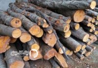 ناکام ماندن قاچاقچی چوب در بخش دشت سر آمل
