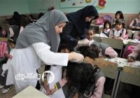 شپش، مهمان ناخوانده مدارس تهران؛ درمان فردی کافی نیست شپش، مهمان ناخوانده مدارس تهران؛ درمان فردی کافی نیست